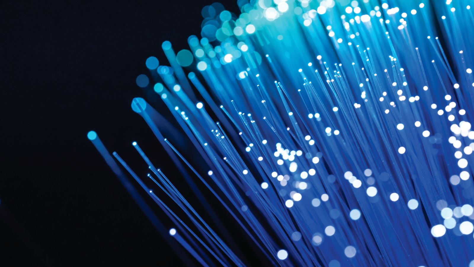 A bundle of optical fibers glowing blue and cyan at their tips.
